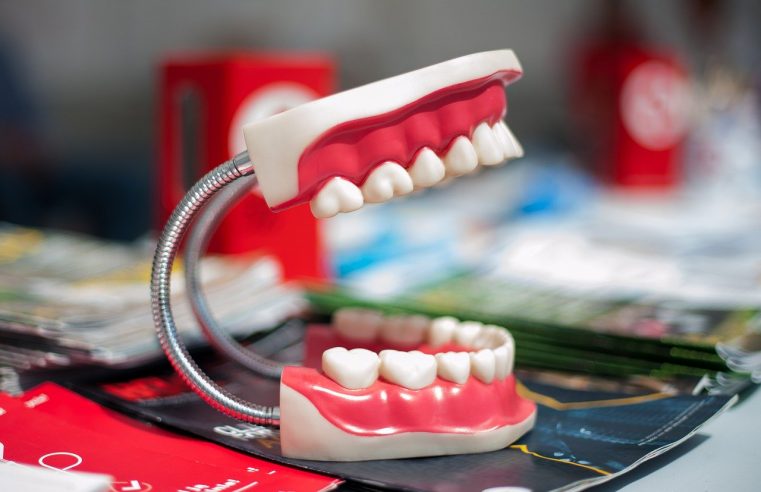 dentysta
