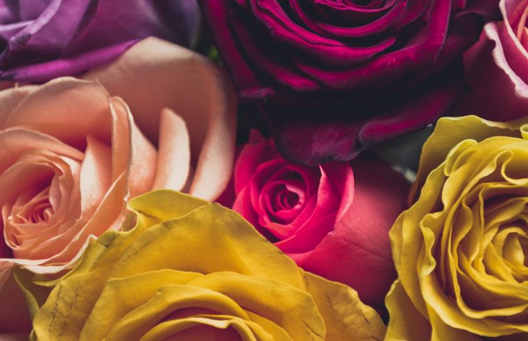 kwiaty, kompozycja, florystyka