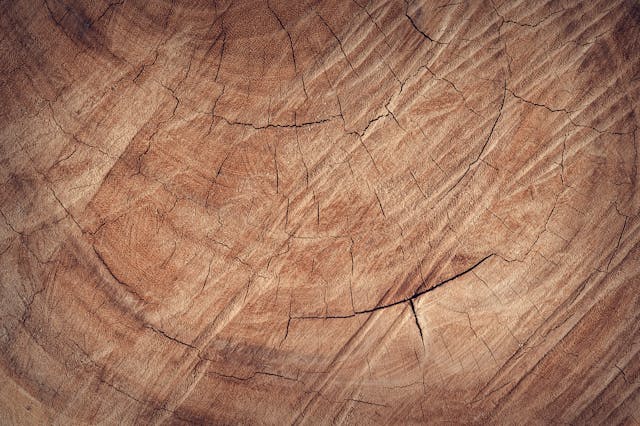 Panele imitujące drewno w stylu skandynawskim – jak je zastosować?