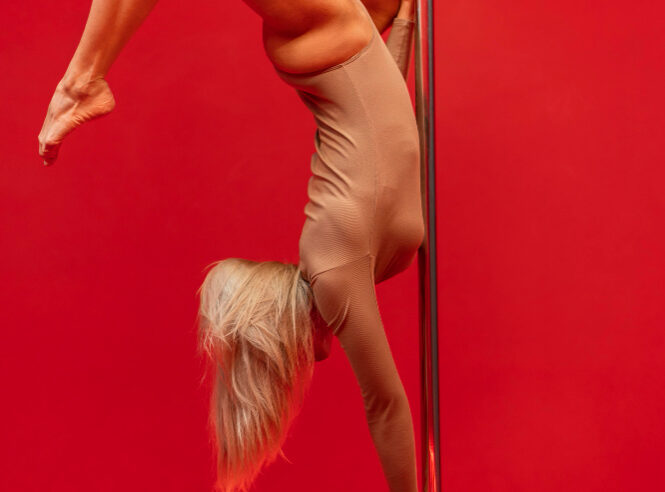 najmodniejsze fasony body do pole dance