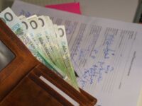 Czy kredyt ekologiczny bardziej przypomina dotację, pożyczkę czy finansowanie mieszane?